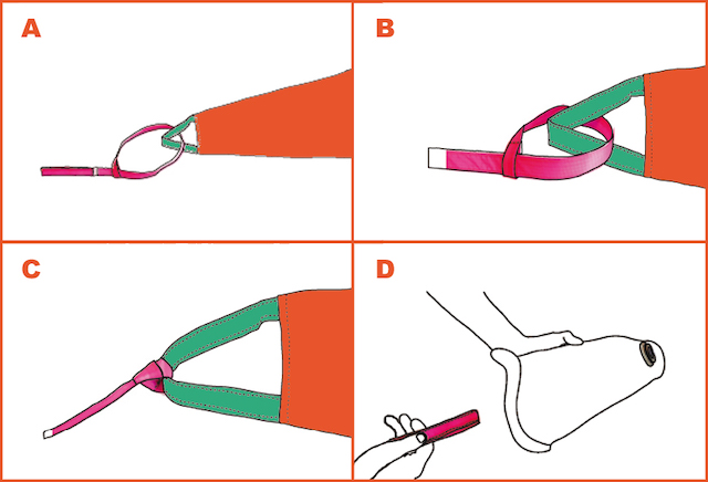 Arion easy proth extender instructions